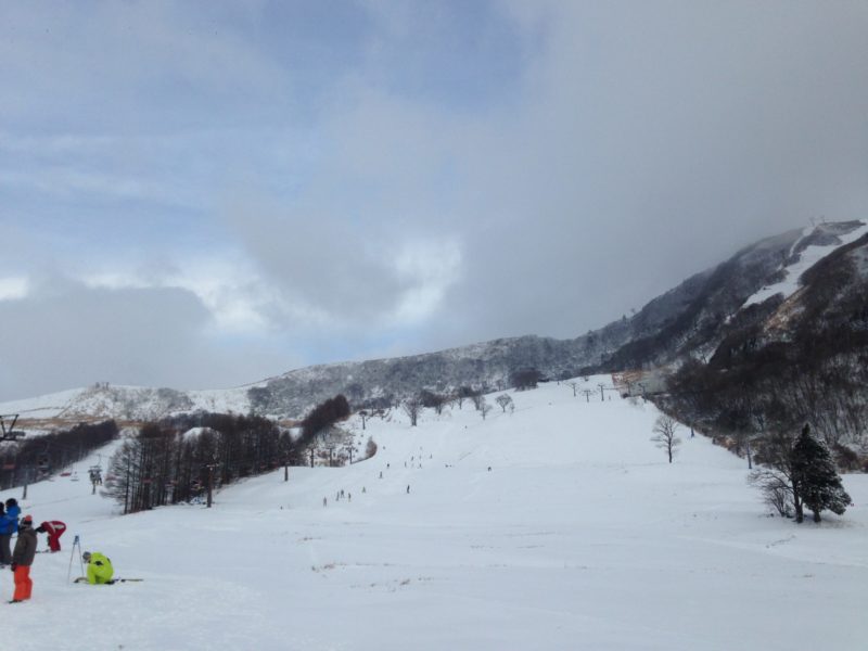 ハチ高原